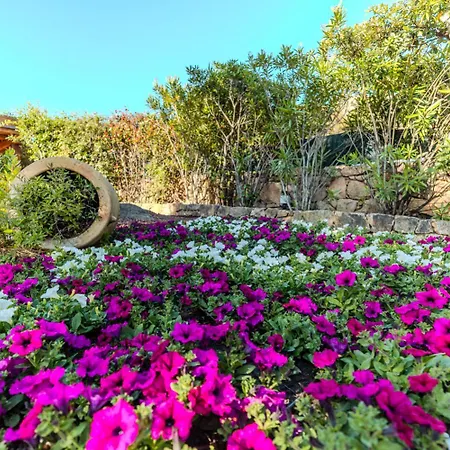 Amira Porto Cervo Con Vista Mozzafiato Sul Mare,piscina Privata,wellness & * Liscia di Vacca